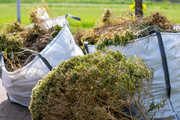 Best Commercial Junk Removal  in Mount Morris, IL